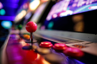 pexels-danbee-29702648